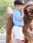 山大生殖医院三代试管费用是多少？钱都花在哪里了？