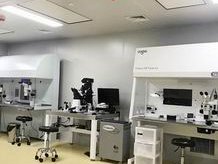 2026在化州市做基因检测多少钱？基因筛查可以规避哪些遗传病？