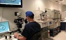 试管婴儿胚胎的一级二级三级等级划分情况