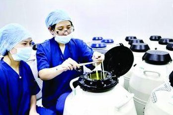 试管促排多次都取出空卵泡要重视，可能是卵巢异常所致