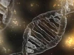 女性不排卵做试管能成功受孕吗？不排卵怎么调理？